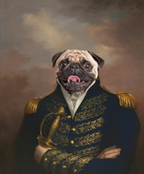 Le Général d'Armée