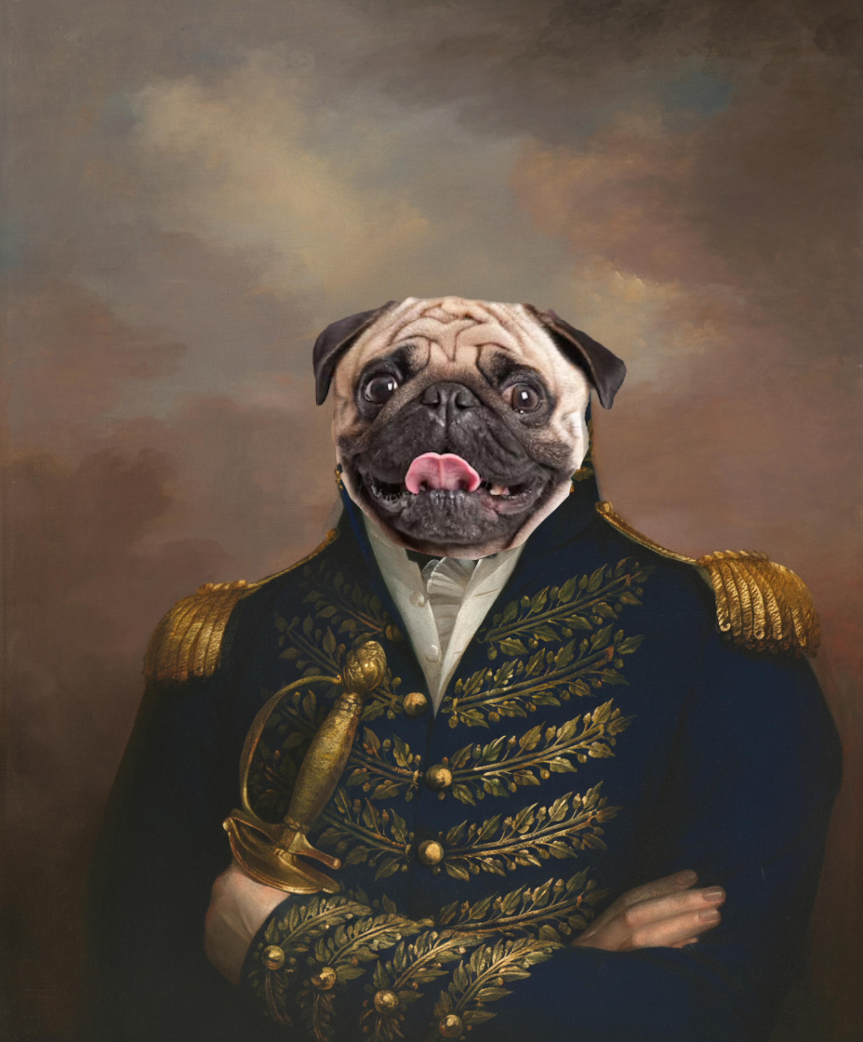 Le Général d'Armée