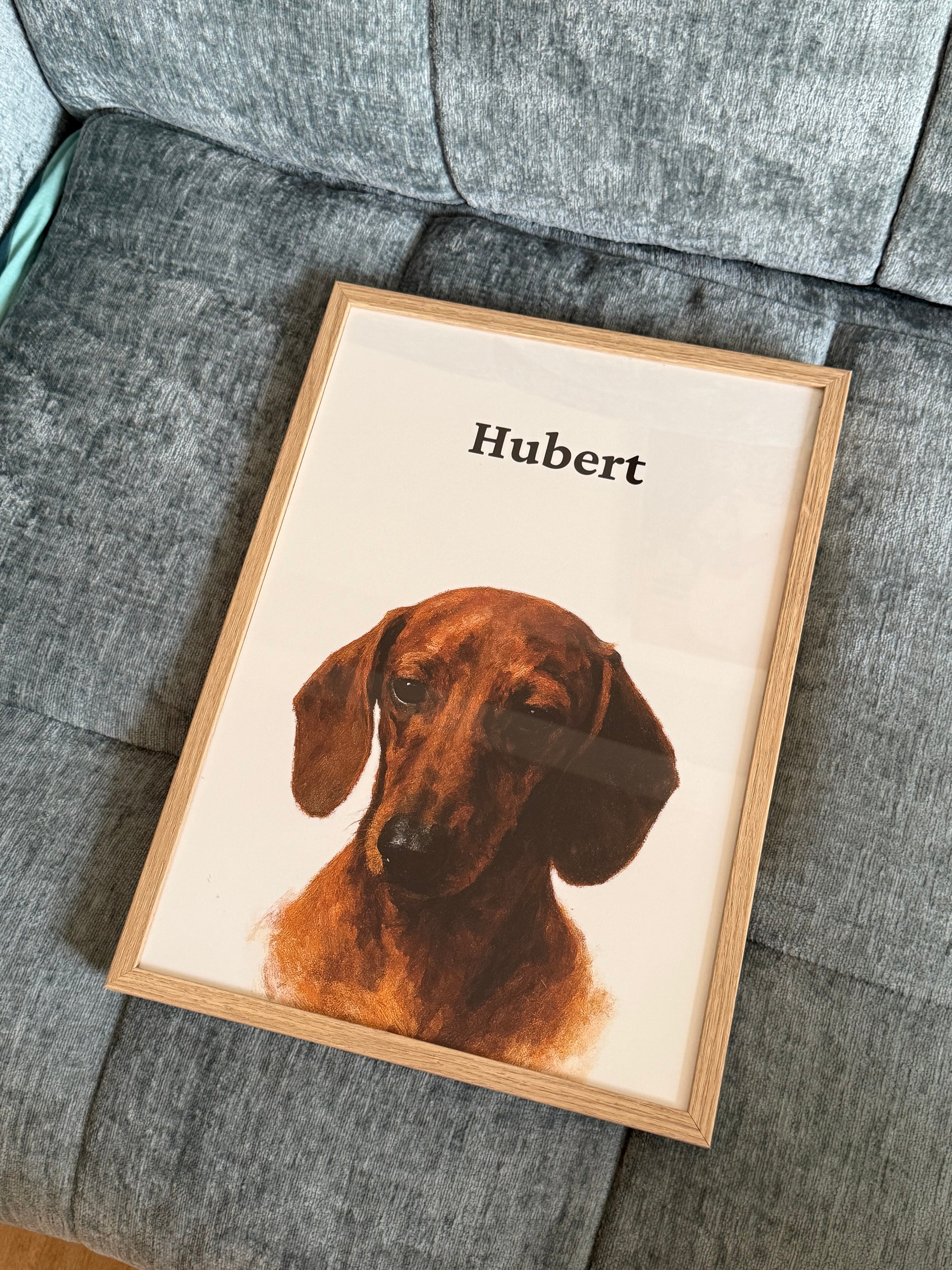 Custom One Pet Portrait
